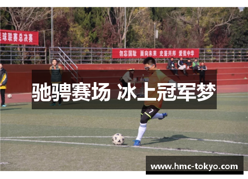 驰骋赛场 冰上冠军梦